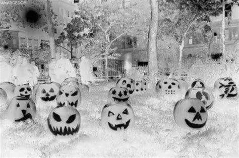 Pumpkins Halloween GIF - Pumpkins Halloween - Discover & Share GIFs