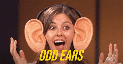 Funny Sex Memes Funny Dating Pictures TheCHIVE