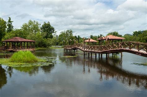 Taman Rekreasi Tasik Melati Perlis Malaysia Stock Photo Image Of