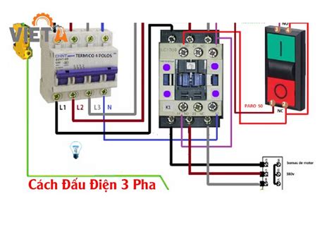 Sơ đồ đấu Dây động Cơ điện 3 Pha 2025 Thiết Bị Việt Á