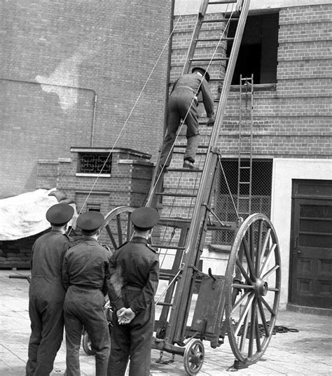 Types Of Ladders Used In Fire Service At Ben Michael Blog