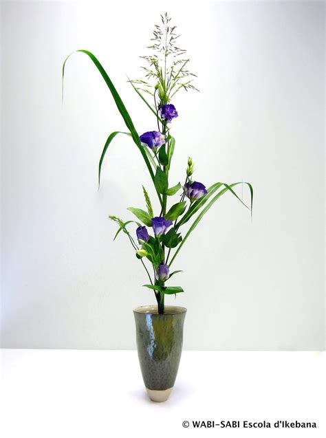 ESCOLA D'IKEBANA WABI-SABI: IKEBANA D'ESTIL SHOKA SHOFUTAI