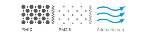 Cosa Sono Le Polveri Sottili E Quali Gli Effetti Dell Inquinamento