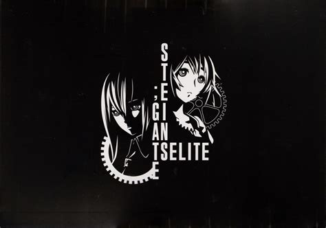 Steins Gate Elite Limited Edition 2019 Box Cover Art MobyGames