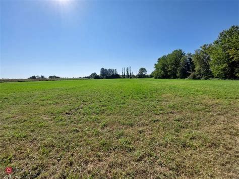 Terreno Agricolo In Vendita A Cittadella 41600mq Casa It