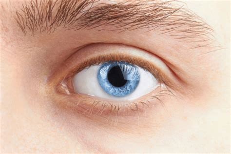 Gay Teens Eye Donation Rejection Calls FDA Policy Into Question