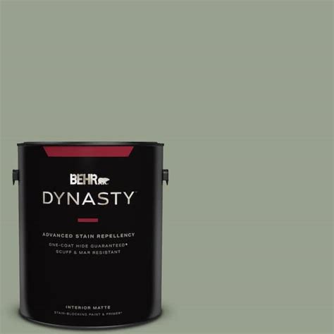 Behr Dynasty Gal N Bitter Sage One Coat Hide Matte Interior