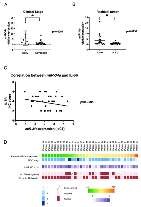 Clinical Relevance Of Mir 34a In Patients With Hgsc Mir 34a Expression Download Scientific