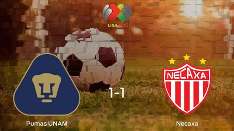 Pumas Unam Necaxa Resultado Resumen Y Goles En Directo Del Partido