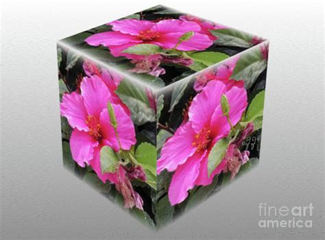 Hawaiian Hibiscus Flower On A Cube Photograph By Zenya Zenyaris Fine