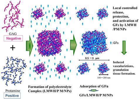 Polymers Free Full Text Polyelectrolyte Complexes Of Natural Polymers And Their Biomedical