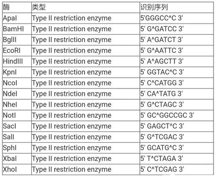 星耀小课堂限制性内切酶DNA分子的手术刀 知乎