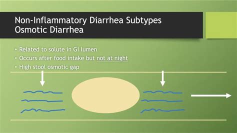 Diarrhea Overview - YouTube