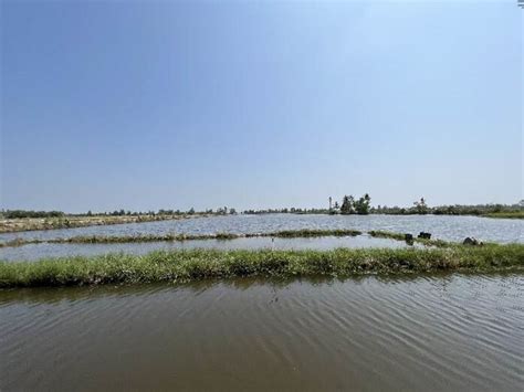 Summary Of Shrimp S Farmer Needs Assessment In The Mekong River Delta