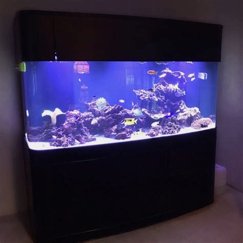 Bow Front AQUA VIM In 2022 Aquariums For Sale Glass Fish Tanks