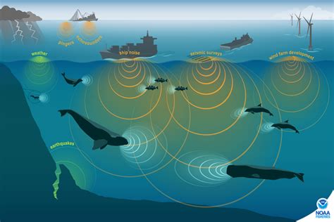 Impact On Marine Life And Underwater Communication