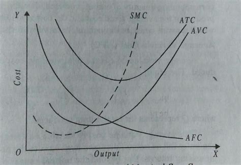 [solved] Discuss The Relationship Between The Three Short Run Total Cost Course Hero