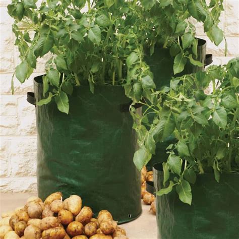 Votre Sac Plantation Pour Pommes De Terre Chez Jardin Et Saisons