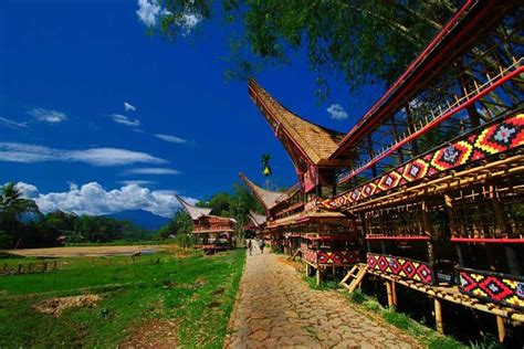 Palopo Tour To Toraja Shore Excursions Asia