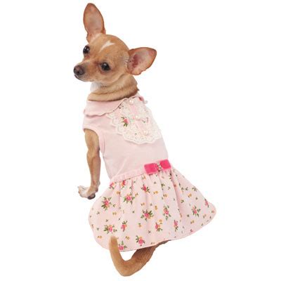 Darling Darla Dog Dress | Designer Dog Clothes at Glamourmutt.com