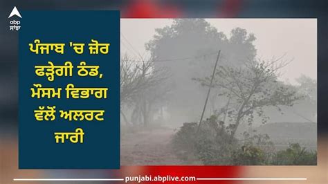 Punjab Weather Cold Will Increase In Punjab Weather Department Has Issued Alert Punjab