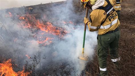 Incendios En El Delta Del Paran Controlaron El Fuego Y Liberaron A