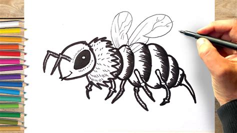 Comment Dessiner Une Abeille Etape Par Etape Dessin Bourdon Facile