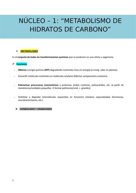 Resumen Metabolismo Carbohidratos METABOLISMO Es El Conjunto De Todas