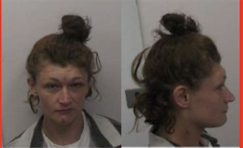 Jamestown Woman Sentenced To State Prison For Probation Violation Wny