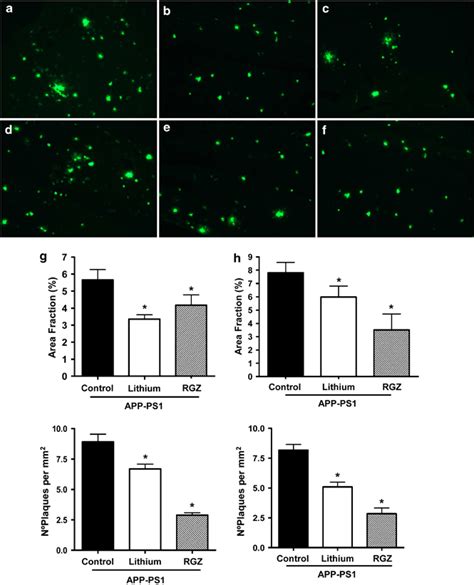 Staining Of Ths Thioflavin S In Amyloid β Peptide App Ps1 Mice