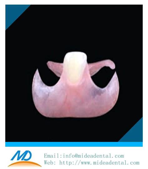 Valplast Flexible Partials With Counter Model For Superior Tooth Bio