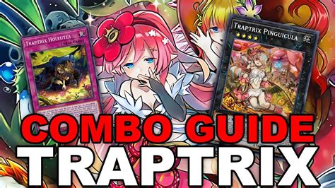 NEW TRAPTRIX The ULTIMATE Traptrix Combo Guide Decklist Yu Gi Oh