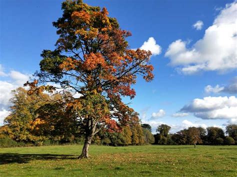 Cotswolds: Private Guided Tour Day Trip by Car | GetYourGuide