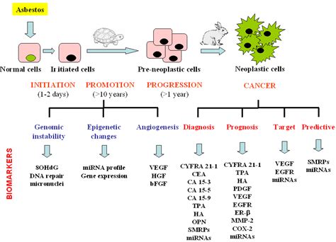 Cancers Free Full Text Biomarkers For Early Detection Of Malignant