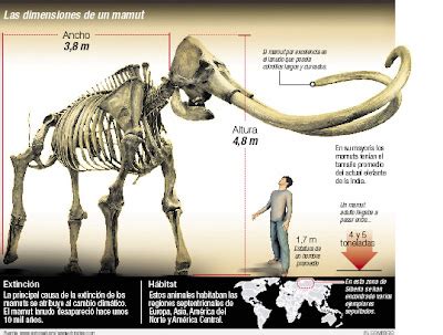 Conocer Ciencia