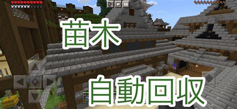 【苗木自動回収】植林場の作り方【マイクラpe】 ツッキャオの和風な街づくり【マイクラ統合版】