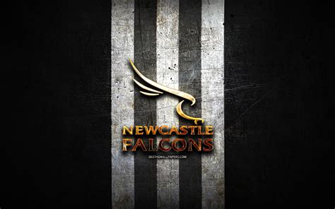 Download wallpapers Newcastle Falcons, golden logo, Premiership Rugby ...