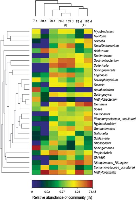 Bacterial Distribution Of 30 Most Abundant Genera Among Seven Samples