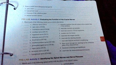 SOLVED: Through the optic canal, b. hypoglossal canal, c. foramina of ...