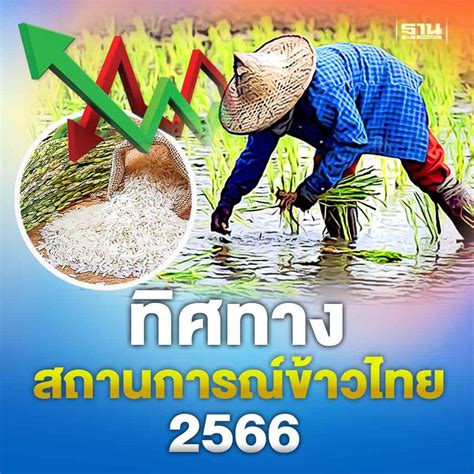 ฐานเศรษฐกิจthansettakij ทิศทางสถานการณ์ข้าวไทย 2566 ความท้าทายความ