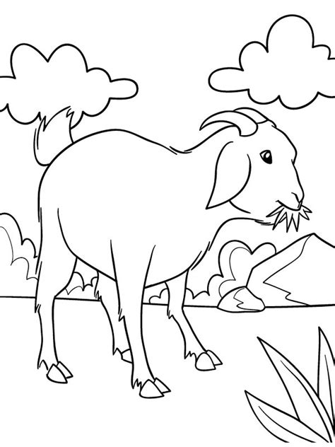 Goat eat grass Coloring Page - Funny Coloring Pages