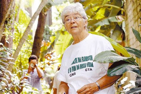 Caso Dorothy Stang A Onda De Assassinatos De Ambientalistas No Brasil