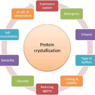 (PDF) Key Factors for Successful Protein Purification and Crystallization