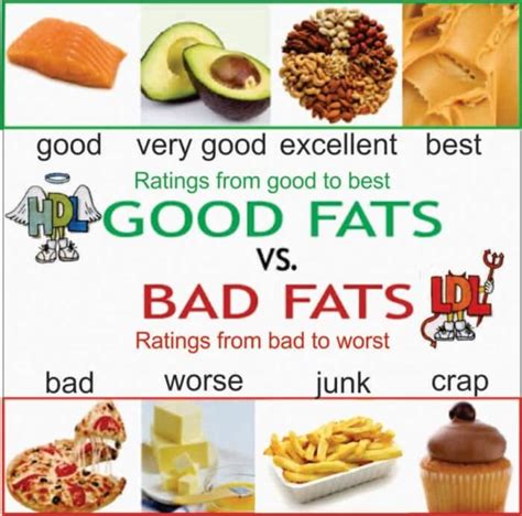 Good VS. Bad Fats - Ratings From Best To Worst! Healthy Eating ...