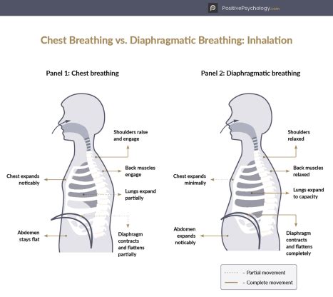 6 Best Diaphragmatic Breathing Exercises To Reduce Anxiety