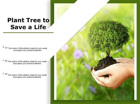 Plant Tree To Save A Life Presentation Powerpoint Templates Ppt Slide Templates