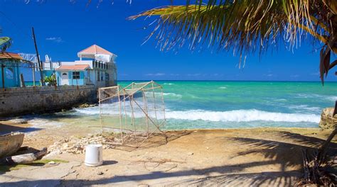 Visita West End Scopri Il Meglio Di West End Negril Nel 2024