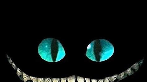 Smiling Cat Wallpapers Top Free Smiling Cat Backgrounds Wallpaperaccess