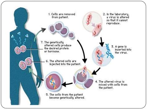 Gene Therapy Exploring The Scientific World