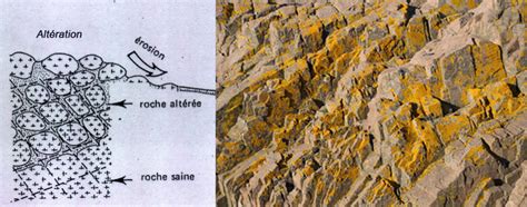 Les Roches S Dimentaires Tout Sur La G Ologie